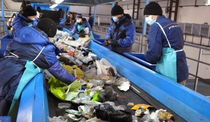 Переработка мусора как бизнес в России