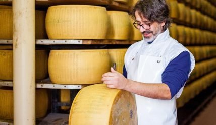 Производство сыра как бизнес: обзор, плюсы и минусы