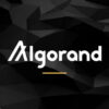 Что такое Algorand (ALGO)? Все что вам нужно знать