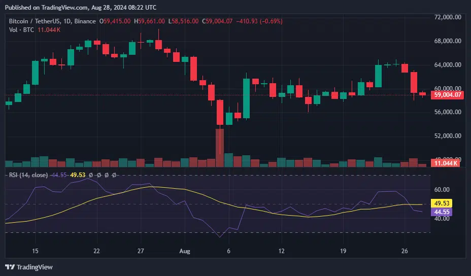 Цена BTC и график RSI – 28 августа